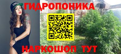 каннабис Лесосибирск