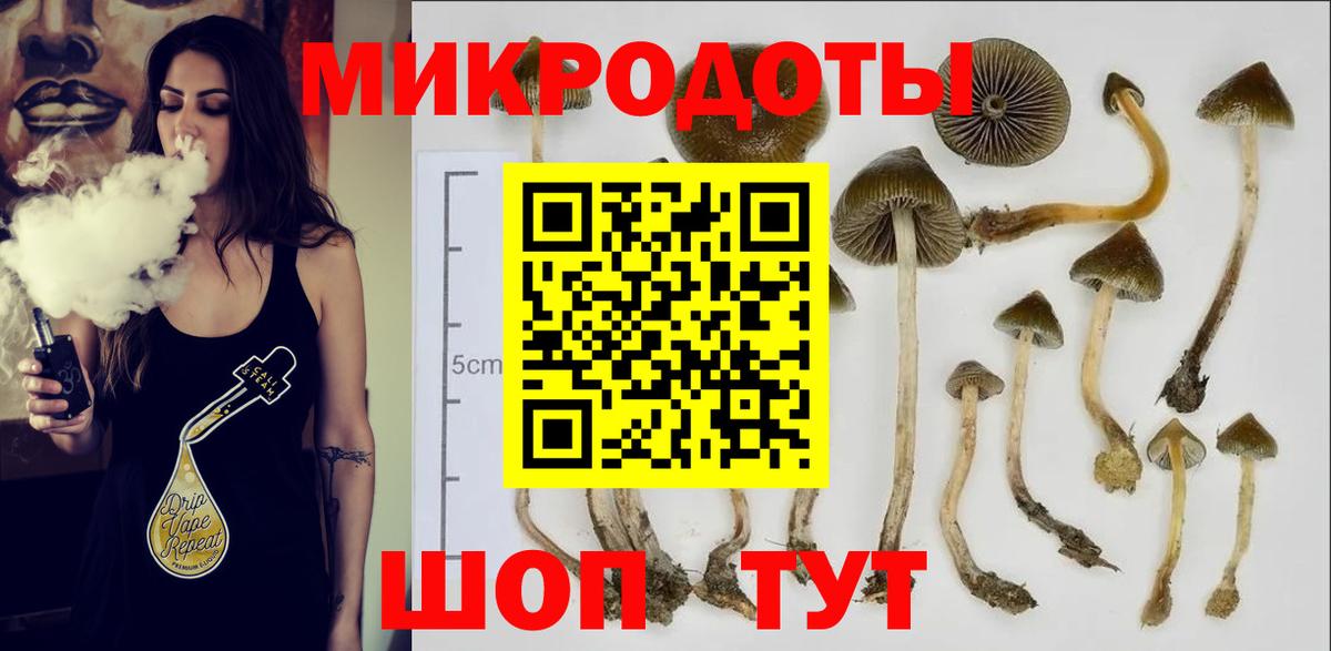 Псилоцибиновые грибы мицелий  Вход с VPN  Йошкар-Ола  Галлюциногенные грибы мухоморы 